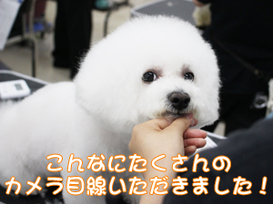 ☆カメラ目線特集☆